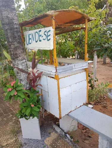 Carrinho de lanches