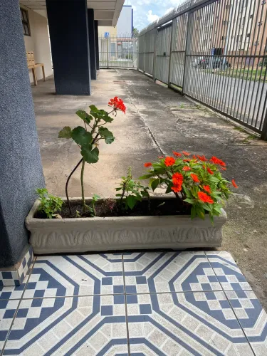 Vasos para plantas de concreto 