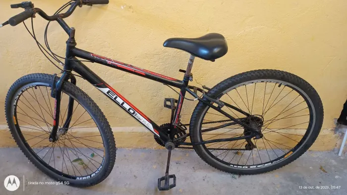 Bick aro 29