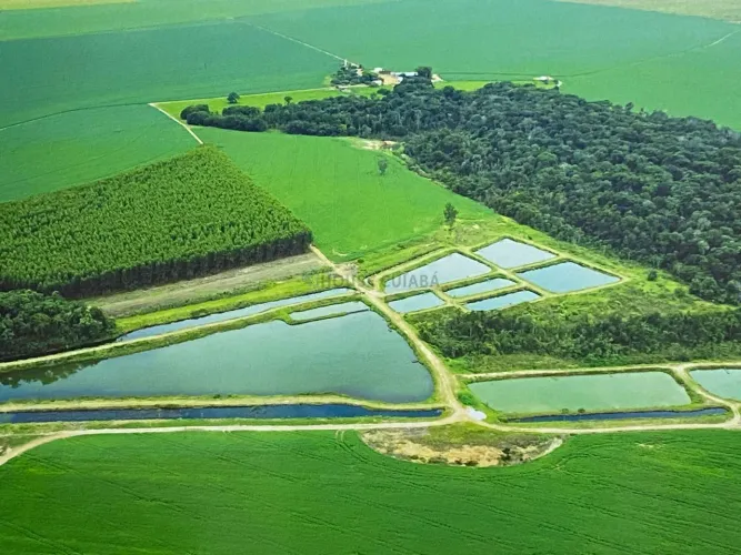 Vendo!!! fazenda à venda de 985 hectares na região de Primavera do Leste MT