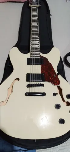VENDO GUITARRA SEMI-ACÚSTICA WALDMAN SEM USO.<br>PREÇO DE OCASIÃO