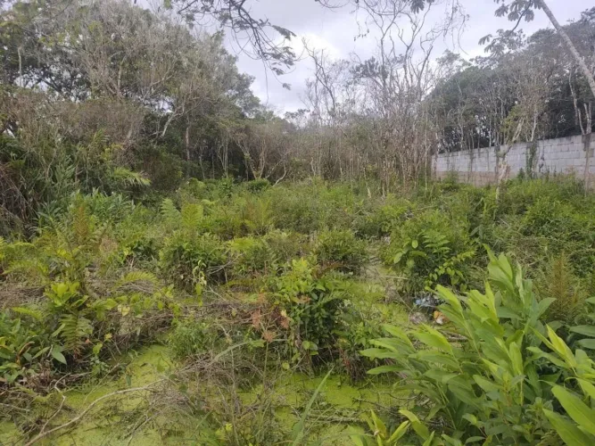 Lote/Terreno à Venda, Luizamar Mirim - Itanhaém