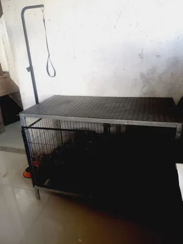 Mesa de tosa com Canil