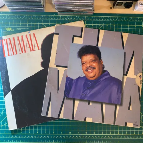 Lote de Discos do Tim Maia - LP - Leva e Romântico 