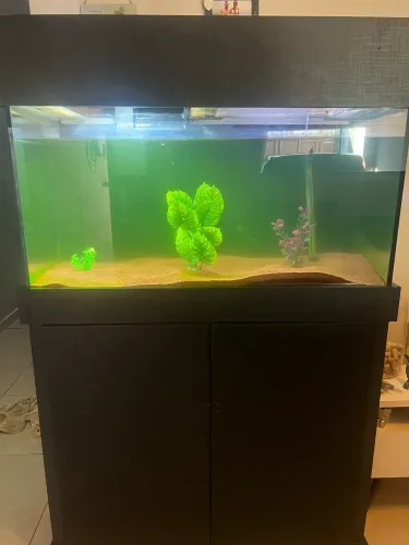 Aquário 200l completo