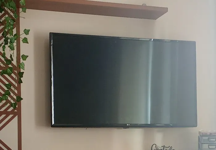 Smart Tv LG 43 Polegadas com Defeito