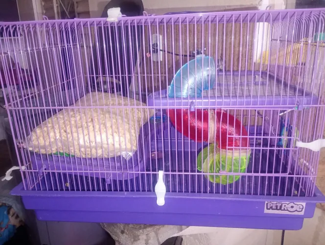 Gaiola para hamster