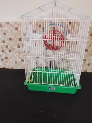 Gaiola para rannice 