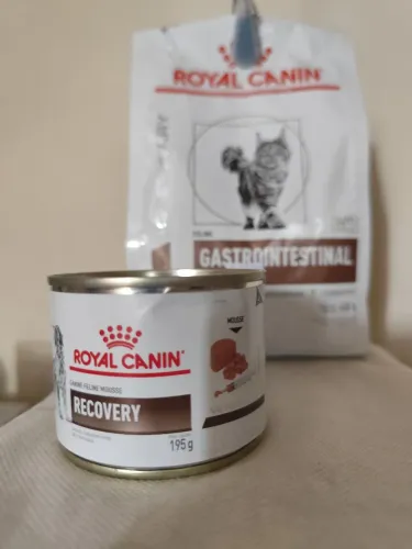 Ração + lata Gastrointestinal para gatos