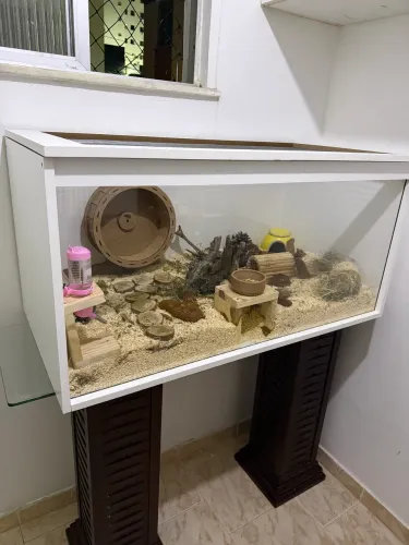 TERRARIO HAMSTER COMPLETO