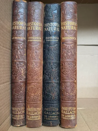 COLEÇÃO ANTIGA HISTORIA NATURAL / CAPA EM RELEVO | DECORAÇÃO & COLECIONISMO
