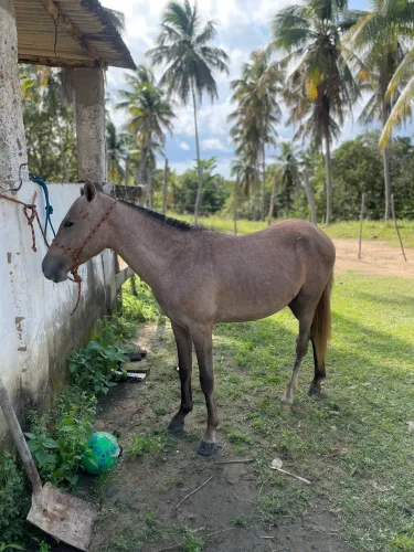 Vendo e troco