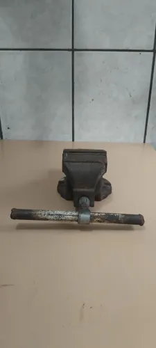 Morsa no estado.