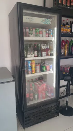 Freezer Expositor