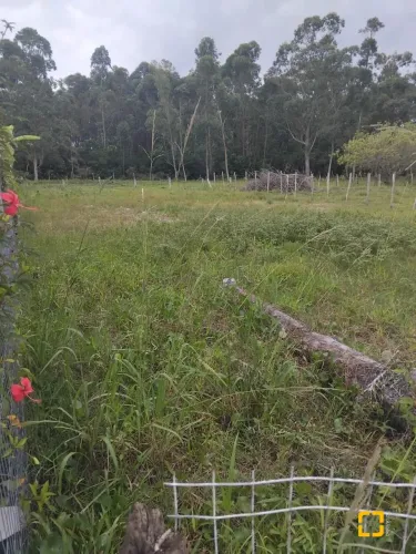 Brognoli Vende- Terreno de 364m2 " São João do Rio Vermelho" Florianópolis