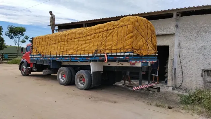 Caminhão 1313 *