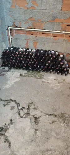 Vendo 110 cascos de cerveja litrão