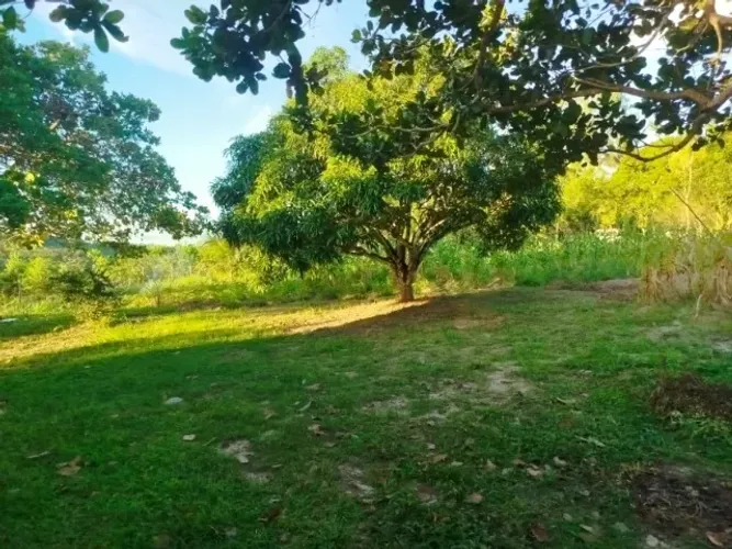Vendo Sítio de 3 Tarefas em São Cristóvão (Povoado Casulo)