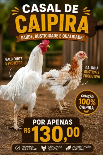 VENDO CASAL DE CAIPIRA