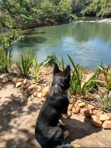 Rio dos boi