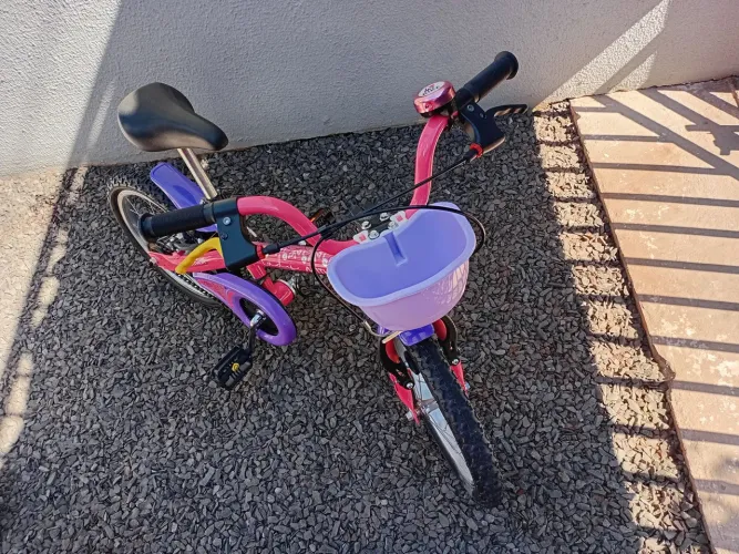 Bicicleta Infantil 