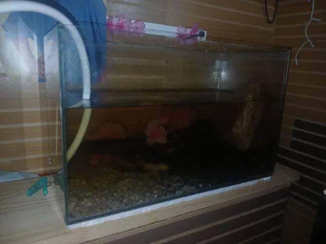 Vendo 2 aquários e 2 bombas