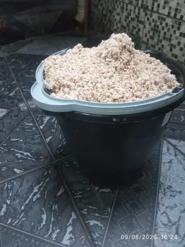 Aragonita para aquario