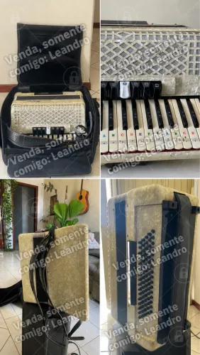 Acordeon DOLPHIN 80 baixos