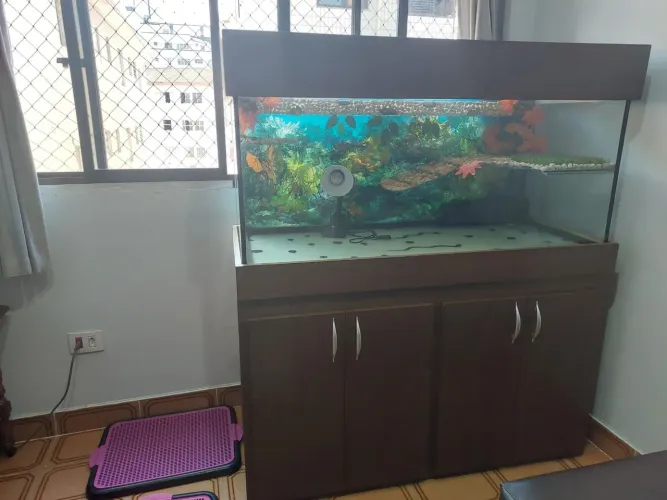 Aquaterrário grande <br>1,44 de altura <br>Profundidade 54 cm