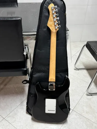 Guitarra Dolphin Stratocaster