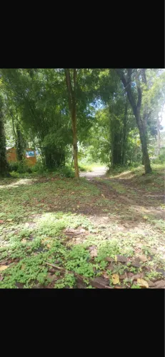 Vendo terreno em Conceição de Jacareí na Costa verde