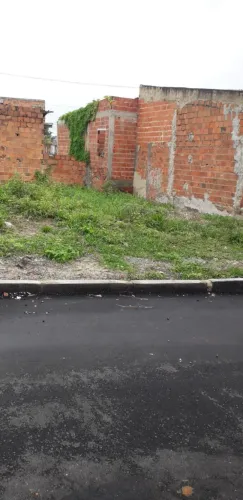 Terreno no novo horizonte
