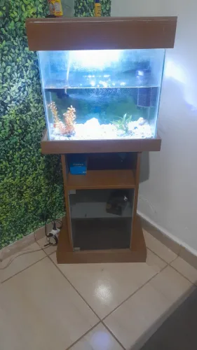 Aquário de peixes