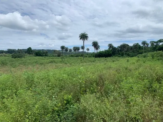 Fazenda 150ha, com 3km de beira de rio, nascente no terreno, terra de cultivo, Lagoa Santa