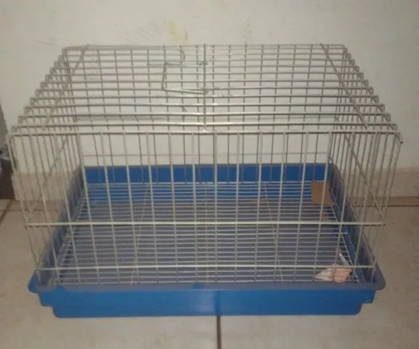 Gaiola para coelho