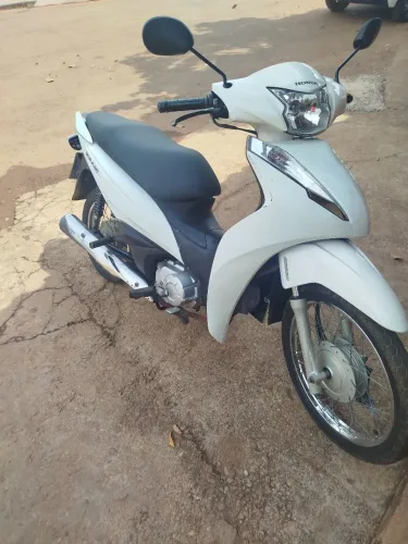 Blz 110 c 2020/2021