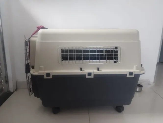 Caixa de Transporte para cães padrão avião