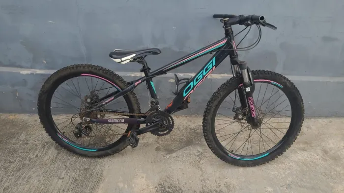 Bike Oggi Aro 24