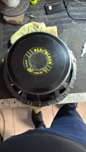 Médio de 600w rms 12 polegadas