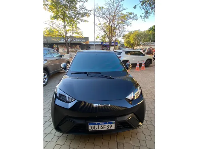 BYD Dolphin EV (Elétrico) 2024