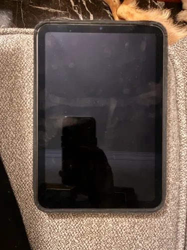iPad mini