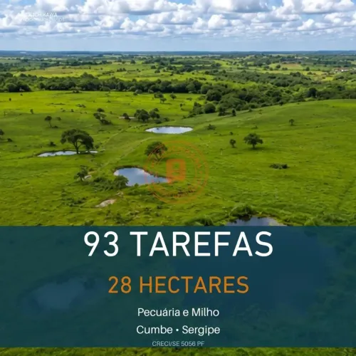 FAZENDA DE 93 TAREFAS - CUMBE