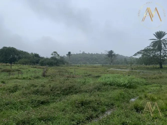 Terreno para Venda em Candeias, Candeias