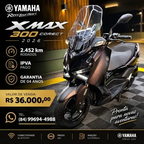 Yamaha 300 Conect