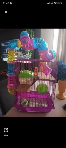 Gaiola para hamster