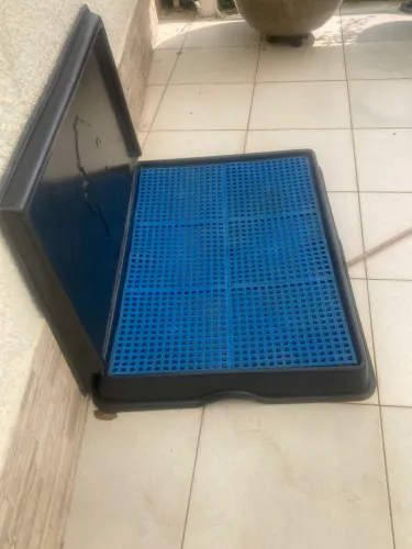 Banheiro higiênico para cães.