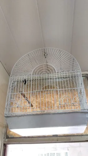 Gaiola de ferro