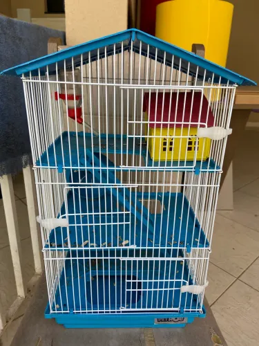 CASINHA PARA HAMSTER 