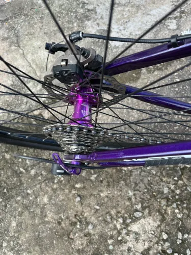Bike ARO 29 absolute TAM 17