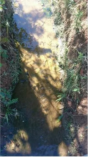 Jaboticatubas!! Sitio de 1.000 metros com muita agua WhstAPP 9 * Guilherme